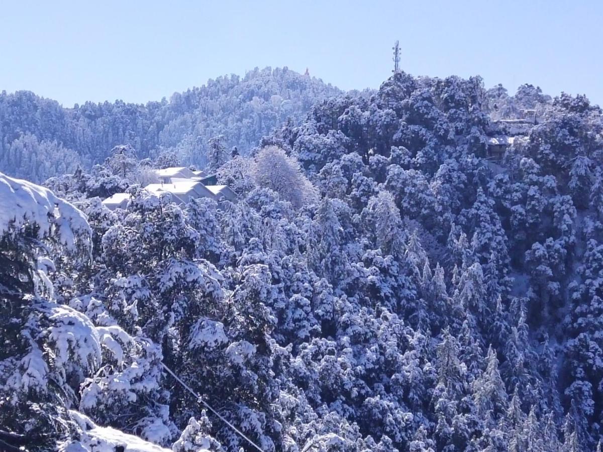 Dhanlaxmi Apartments Shimla Extérieur photo